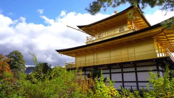 Látványos Felvételeket Gyönyörű Hagyományos Japán Pagoda — Stock videók