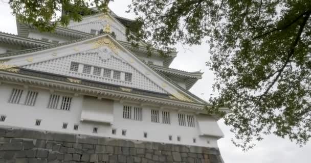 Vyhlídkové Záběry Nádherné Tradiční Japonské Pagody — Stock video