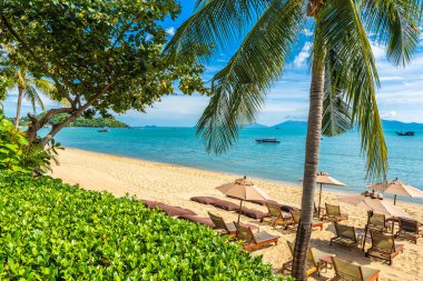 Hindistan cevizi palmiye ağacı ile güzel tropikal plaj deniz ve okyanus bir
