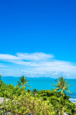 Mavi gökyüzünde hindistan cevizi palmiye ağacı ile güzel tropikal deniz okyanusu 