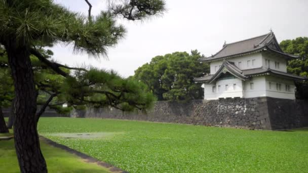 Szenische Aufnahmen Schöner Traditioneller Japanischer Pagode — Stockvideo