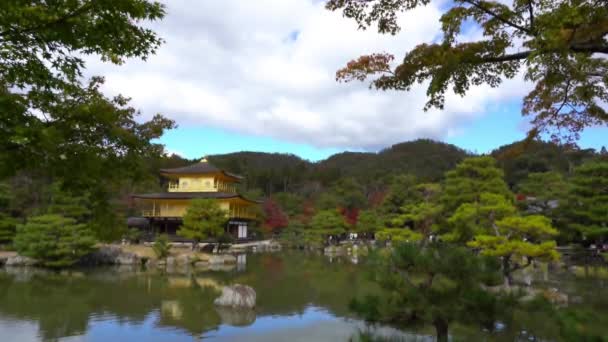 Vyhlídkové Záběry Nádherné Tradiční Japonské Pagody — Stock video