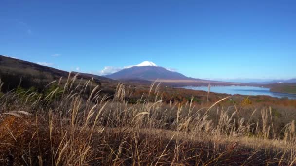 Imágenes Escénicas Hermosa Montaña Fuji Japón — Vídeos de Stock