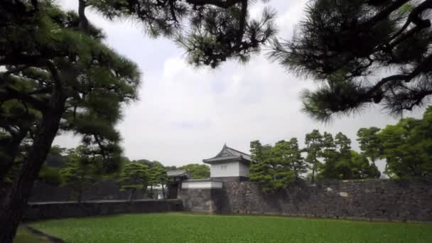 Imágenes Escénicas Hermosa Pagoda Japonesa Tradicional — Vídeos de Stock