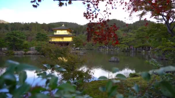 Vyhlídkové Záběry Nádherné Tradiční Japonské Pagody — Stock video