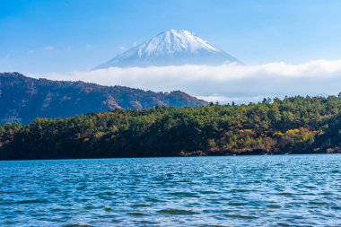 Dağ fuji ile akçaağaç yaprağı ağacın etrafında güzel manzara