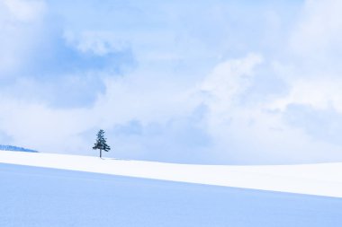 Güzel açık doğa manzara ile Noel ağacı kışın