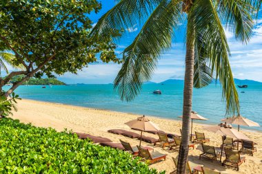 Hindistan cevizi palmiye ağacı ile güzel tropikal plaj deniz ve okyanus bir