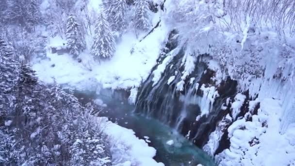 日本北海道美丽冬季风景的风景镜头 — 图库视频影像