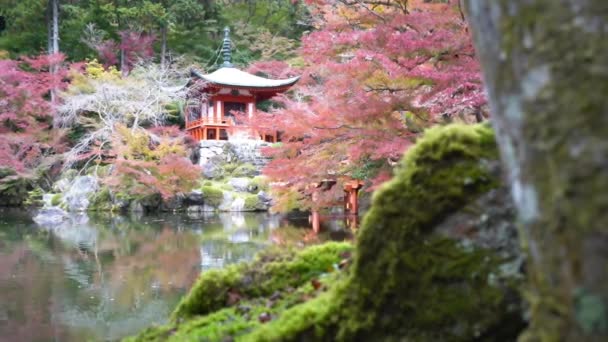 Malownicze Nagrania Pięknej Tradycyjnej Japońskiej Pagody — Wideo stockowe