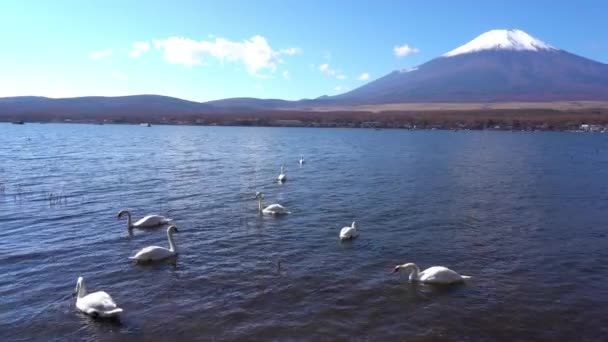 Мальовничі Кадри Прекрасної Гори Фудзі Японія — стокове відео