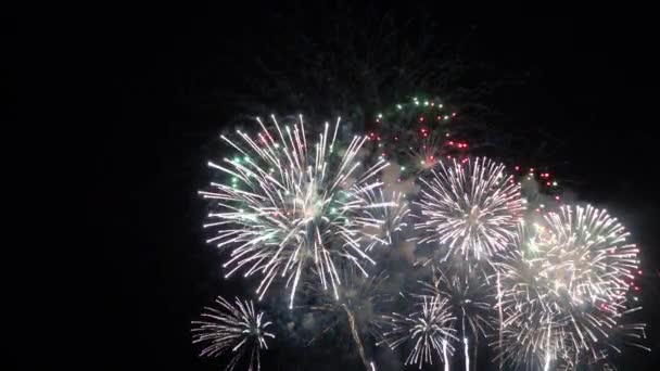 Close Footage Fireworks Exploding Night Sky — Stock Video