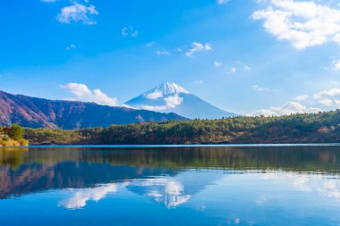 Dağ fuji ile akçaağaç yaprağı ağacın etrafında güzel manzara