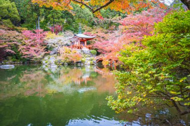 Güzel Daigoji Tapınağı ile renkli ağaç ve yaprak sonbahar s