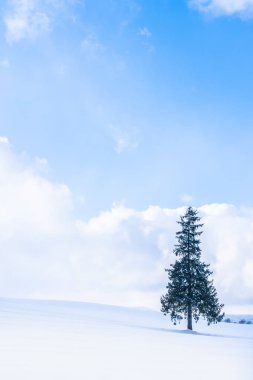 Güzel açık doğa manzara ile yalnız Sunni Noel ağacında