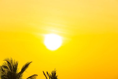 Gündoğumu veya sunse ile hindistan cevizi yaprağı ile güzel açık doğa