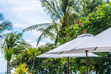 Üzerinde hindistan cevizi palmiye ağacı ile şemsiye seçici odak noktası 