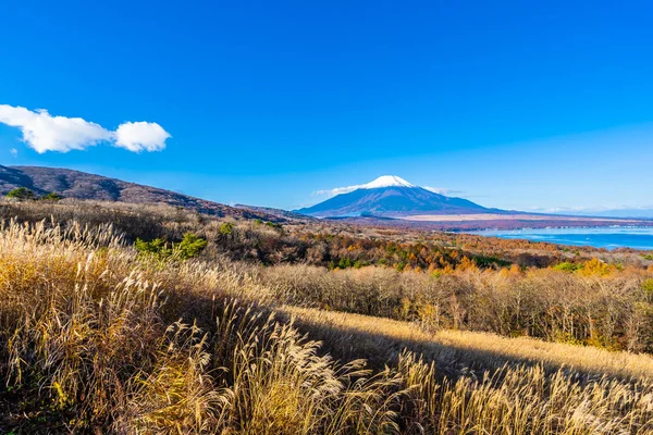 Schöner fuji-berg im yamanakako oder yamanaka-see — Stockfoto