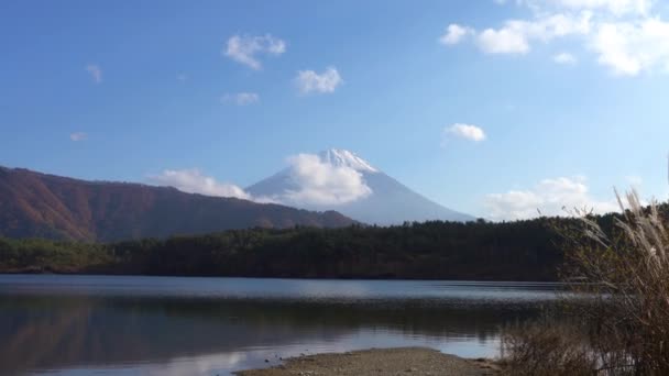 Живописные Кадры Красивой Горы Фудзи Япония — стоковое видео