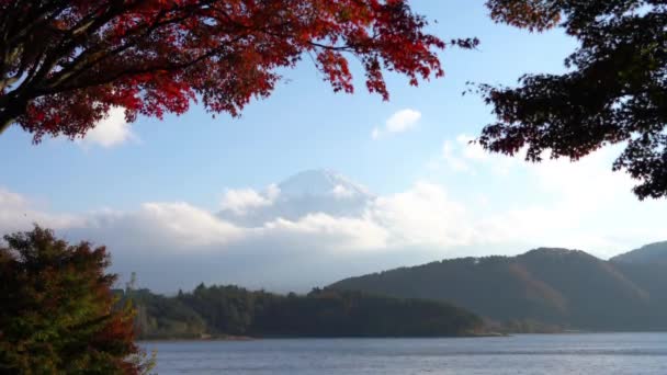 Schilderachtige Beelden Van Prachtige Berg Fuji Japan — Stockvideo