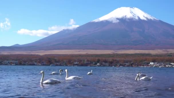 Szenische Aufnahmen Von Schönen Berg Fuji Japan — Stockvideo