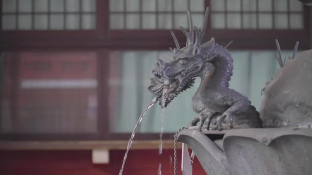 Nahaufnahmen Von Drachenstatue Brunnen Chinesischem Tempel — Stockvideo
