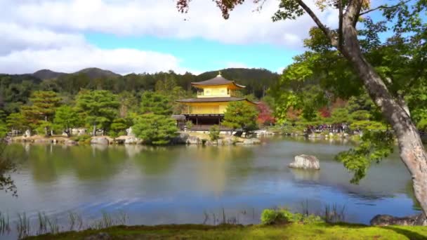 Schilderachtige Beelden Van Prachtige Traditionele Japanse Pagode — Stockvideo