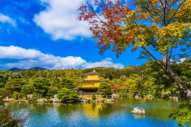 Kyoto Japonya'da altın köşk ile güzel Kinkakuji Tapınağı