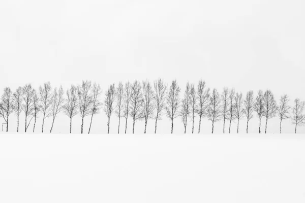 木の枝でのグループと美しい屋外の自然風景 — ストック写真