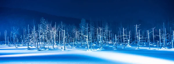 Beautiful outdoor landscape with blue pond river at night with l