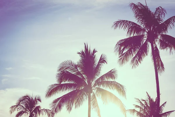 Hermosa naturaleza tropical al aire libre con hoja de palmera de coco en —  Fotos de Stock