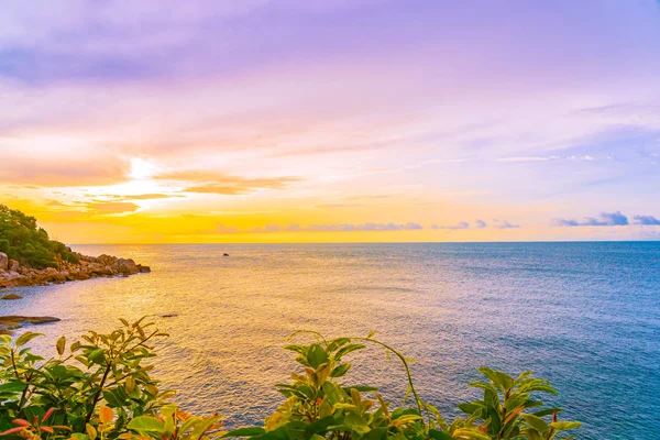 Beautiful outdoor tropical beach sea around samui island with co — Stock Photo, Image