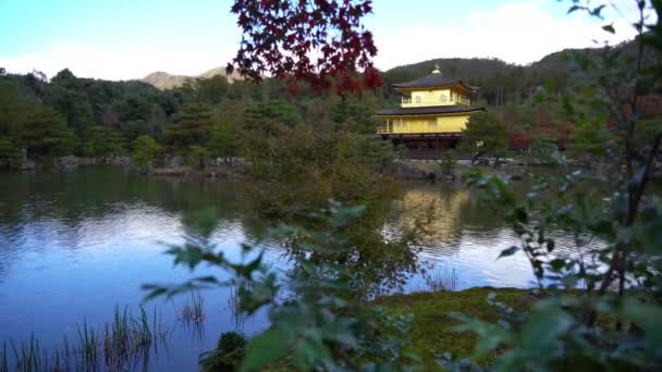 Güzel Geleneksel Japon Pagoda Doğal Görüntüleri — Stok video