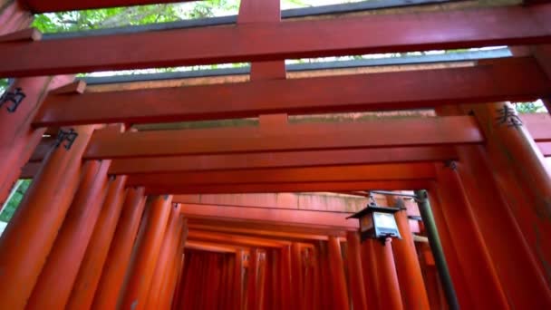 Kyoto Fushimi Inari Tapınağı Etrafında Tori Kapı Doğal Görüntüleri Japonya — Stok video