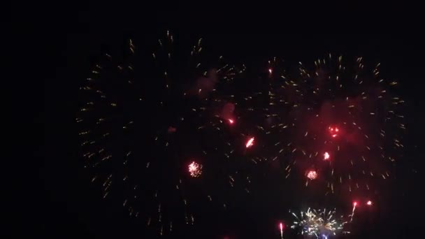 Images Rapprochées Feux Artifice Explosant Dans Ciel Nocturne — Video