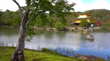 güzel geleneksel Japon pagoda doğal görüntüleri
