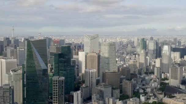 Scenic Footage Modern Megalopolis Asian City — Stock Video