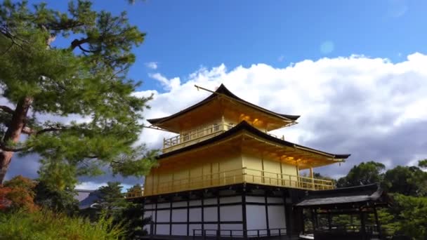 Scenic Footage Beautiful Traditional Japanese Pagoda — Stock Video