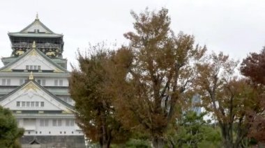 güzel geleneksel Japon pagoda doğal görüntüleri