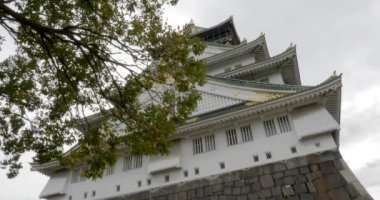 güzel geleneksel Japon pagoda doğal görüntüleri