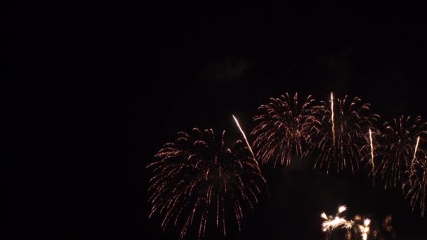 Nahaufnahmen Von Feuerwerk Das Nachthimmel Explodiert — Stockvideo