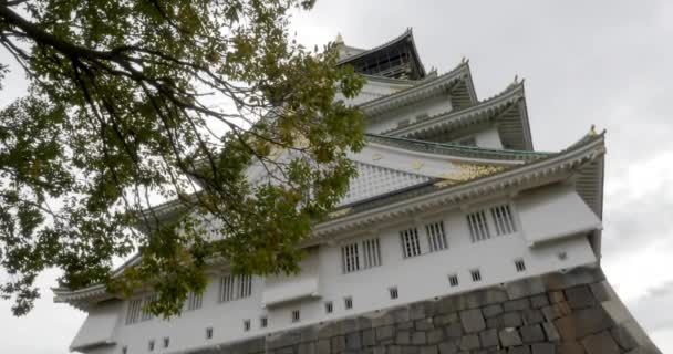 Γραφικό Βίντεο Της Όμορφης Παραδοσιακής Ιαπωνικής Παγόδα — Αρχείο Βίντεο