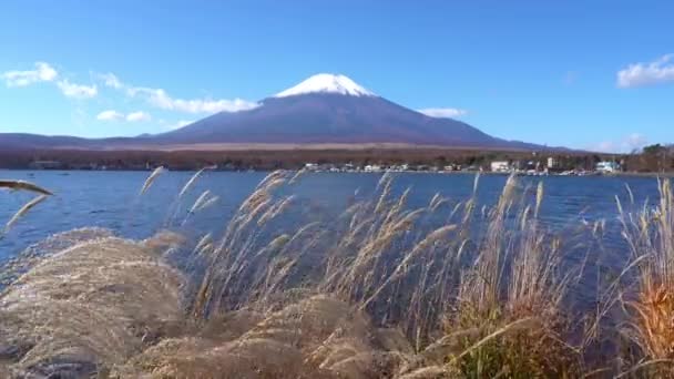 Riprese Panoramiche Della Bellissima Montagna Fuji Giappone — Video Stock