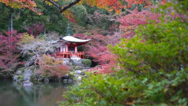 Natursköna Bilder Vackra Traditionella Japanska Pagoden — Stockvideo