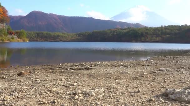 Natursköna Bilder Vackra Berget Fuji Japan — Stockvideo