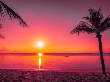 Güzel tropikal plaj deniz ve Hindistan cevizi palmiye ağacı ile okyanus