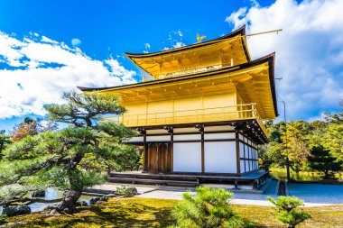 Kyoto Japonya'da altın köşk ile güzel Kinkakuji Tapınağı