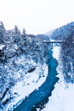Shirahige şelale ile güzel açık doğa manzara ve 