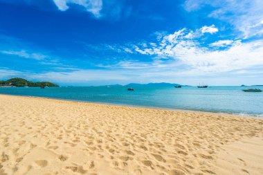 Hindistan cevizi palmiye ağacı ile güzel tropikal plaj deniz ve okyanus bir