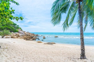 Samui Adası etrafında güzel açık tropikal plaj deniz ile Co